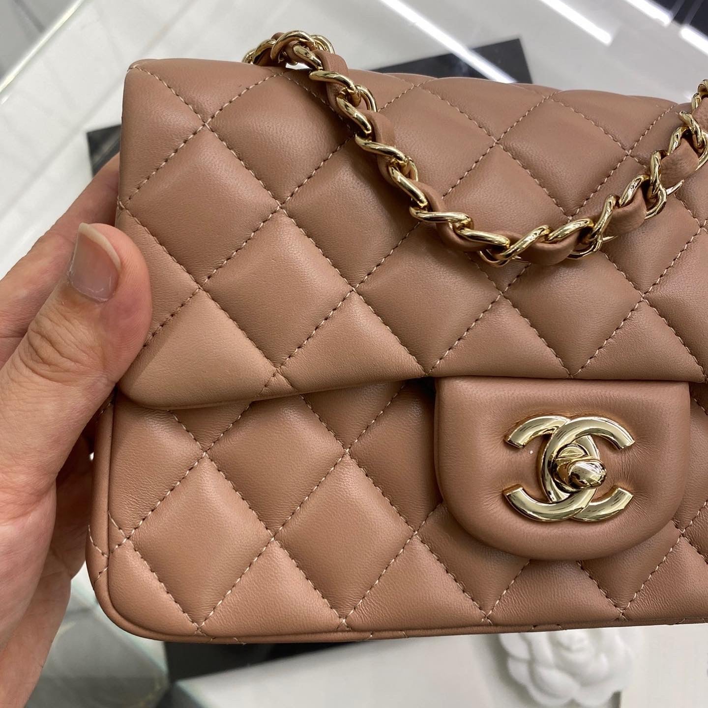 C h brown 22cm
