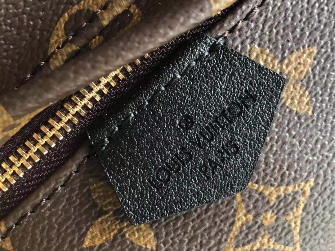 Lv backpack