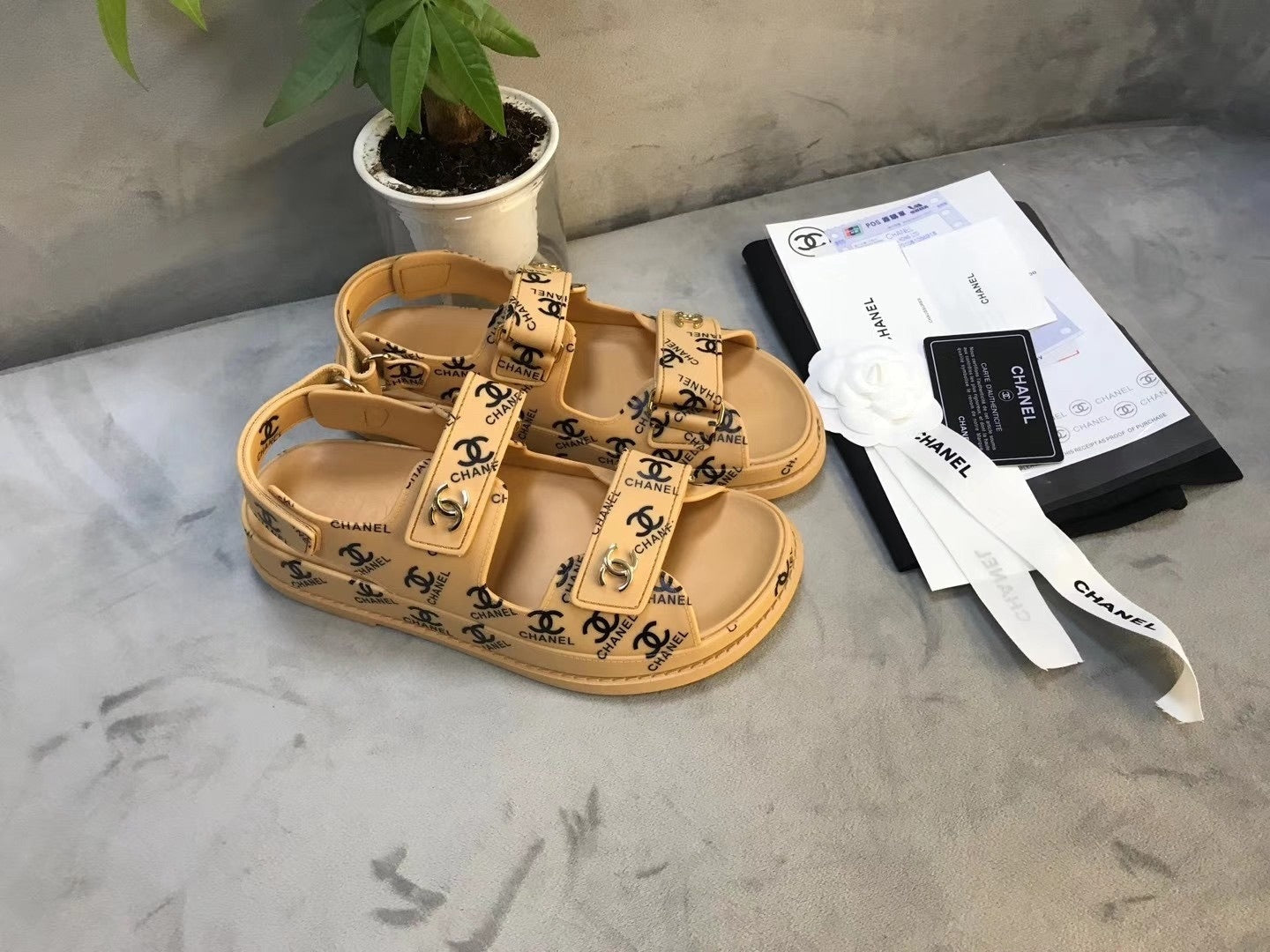 Chanel c